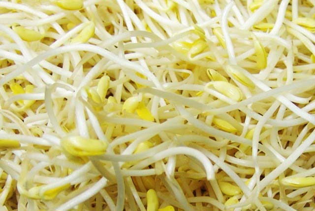 網(wǎng)絡(luò)購物送貨 上門。