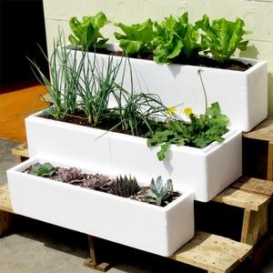 新鮮到家！龍崗蔬菜快遞服務(wù)