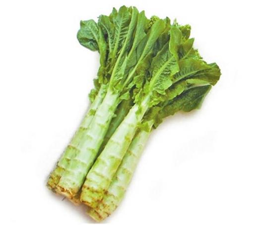 深圳蔬菜配送新鮮直達(dá)健康無憂