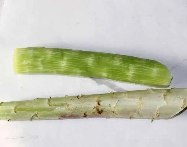 快速送菜上門，省時(shí)又便捷！