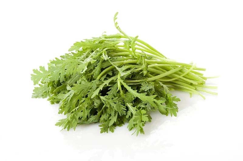 蔬菜新鮮送到家，一鍵訂購APP