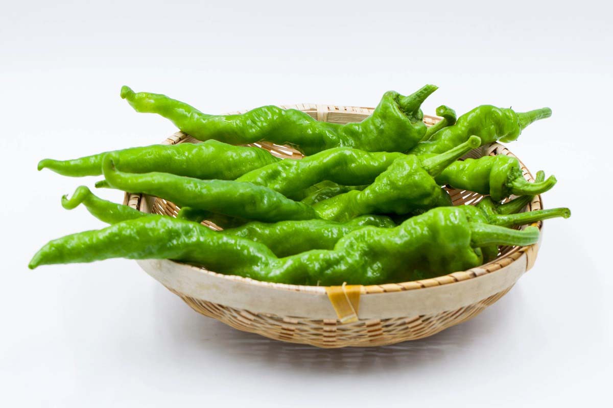 快速獲得新鮮蔬菜：批發(fā)配送服務(wù)