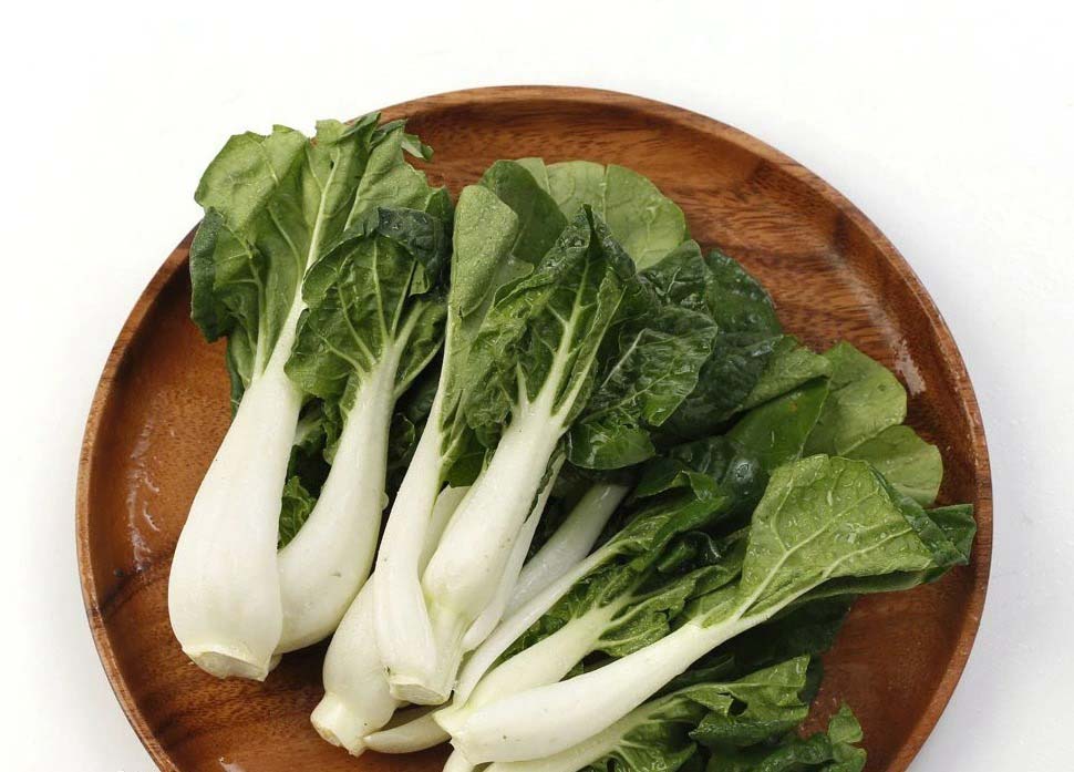 快速配送公司名稱推薦 - 打造高效物流服務(wù)