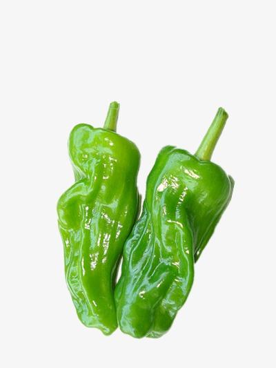 蔬菜配送公司利潤的關鍵因素