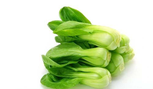 立即下載美菜配送app，享受便捷送菜服務(wù)！