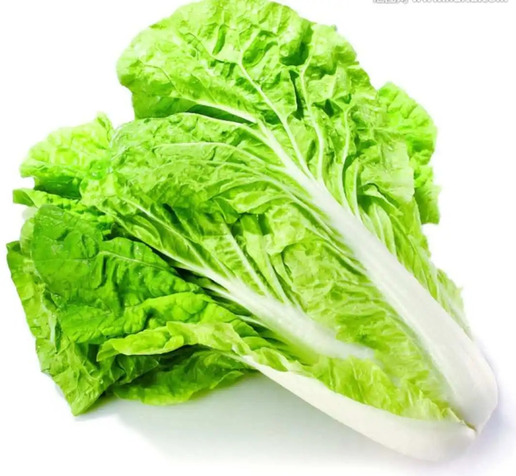 桐鄉(xiāng)蔬菜配送中心，新鮮速遞，當(dāng)日到達(dá)！