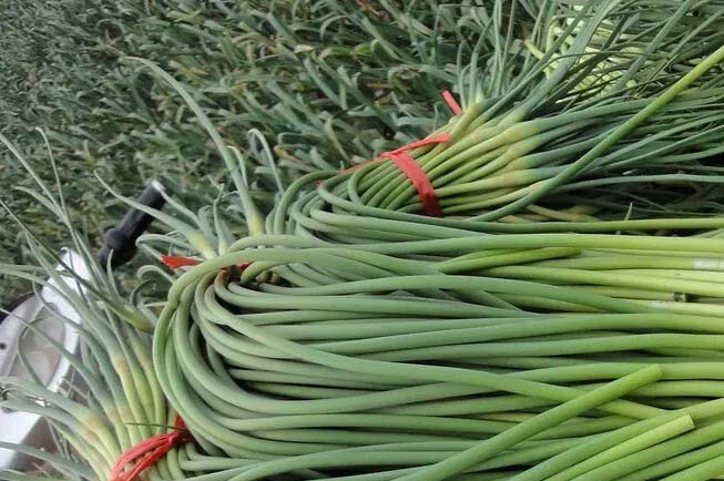 輕松享受新鮮蔬菜，萬家歡為您配送 (53 characters)