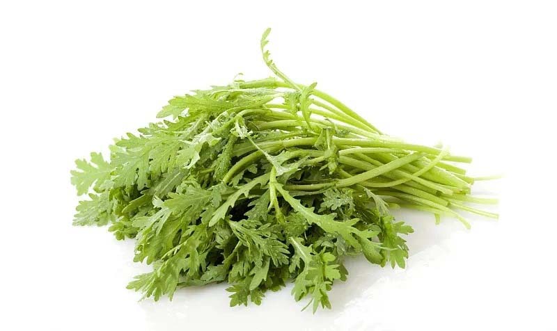 輕松訂購蘇南新鮮食材！—蘇南食材配送公司