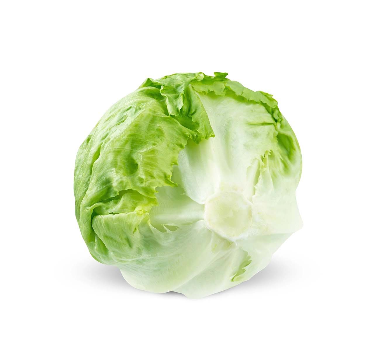 青海西寧市蔬菜配送公司