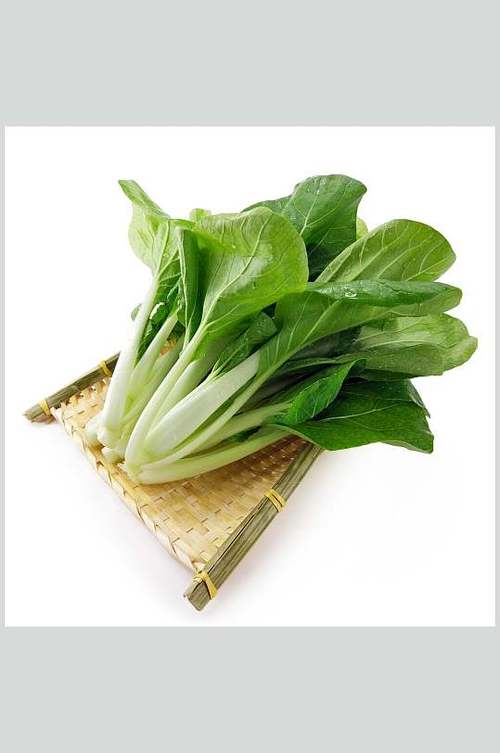 食品配送公司服務計劃，全程無憂！