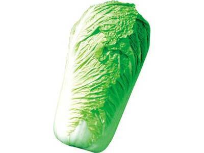 探索我們的綠色之旅_——_高品質(zhì)食堂蔬菜配送